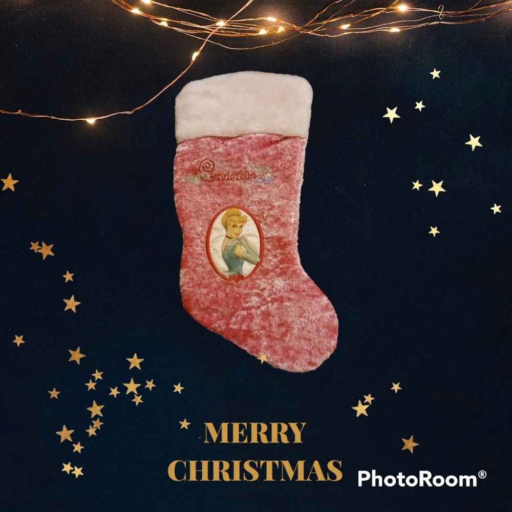 Cinderella stocking ✨️